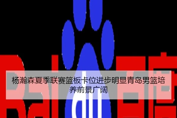 杨瀚森夏季联赛篮板卡位进步明显青岛男篮培养前景广阔