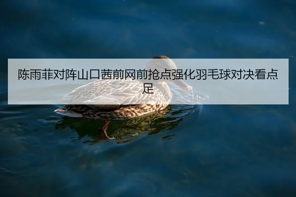 陈雨菲对阵山口茜前网前抢点强化羽毛球对决看点足